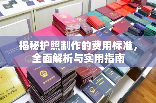 梨树揭秘护照制作的费用标准，全面解析与实用指南